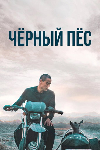 Чёрный пёс